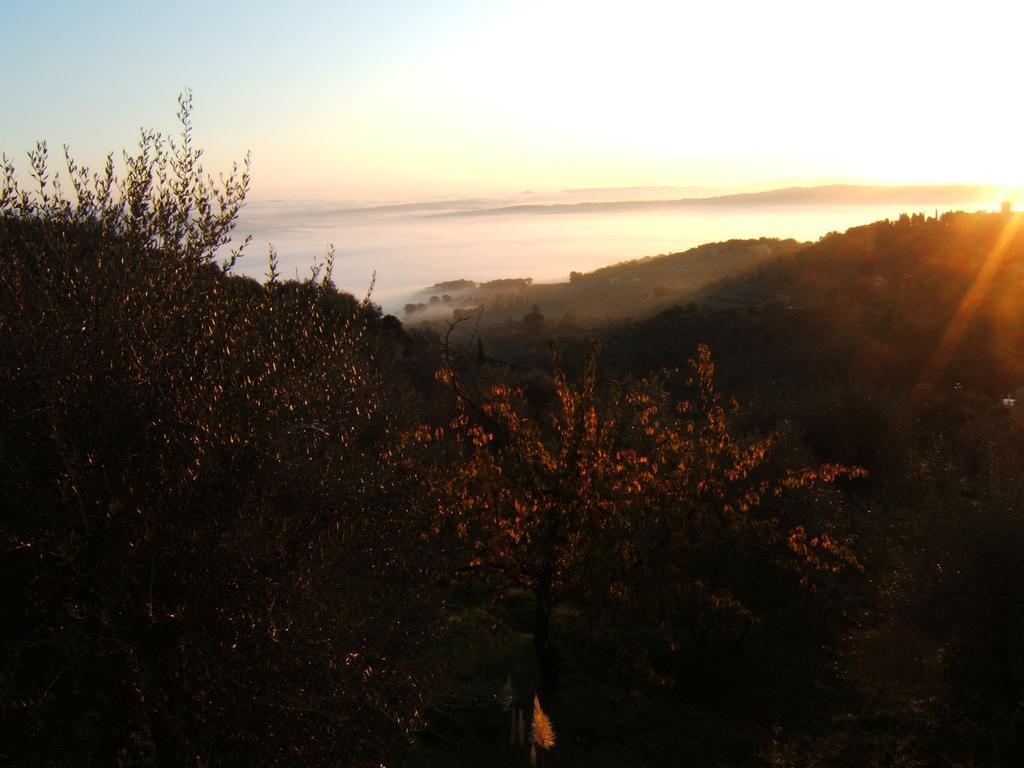 Villa Santa Maria Montalcino Exteriér fotografie